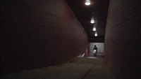 17.gif